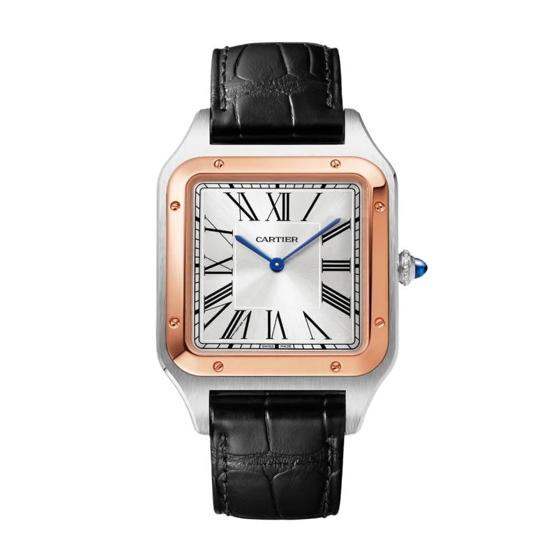 Model photo — Cartier Santos-Dumont XL WGSA0032